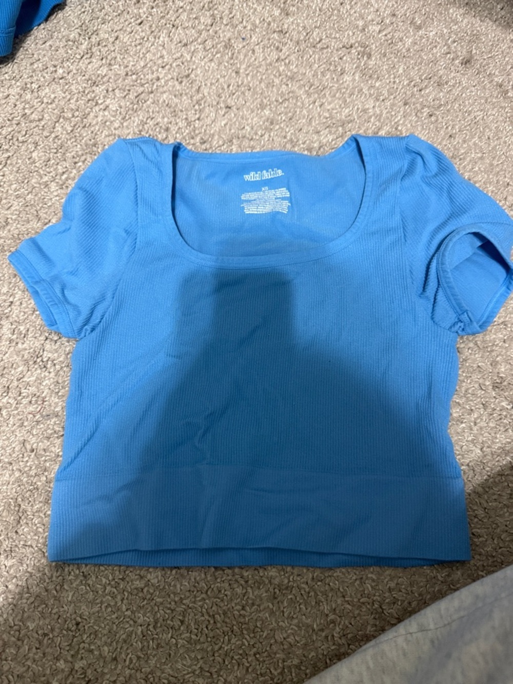 wild fable Bright Blue Ribbed Scoop Crop Top